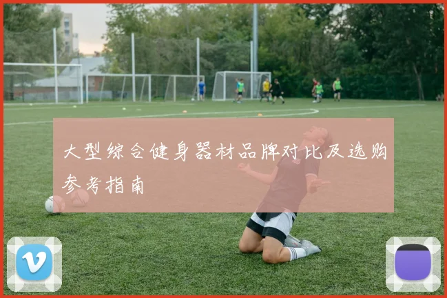 大型综合健身器材品牌对比及选购参考指南