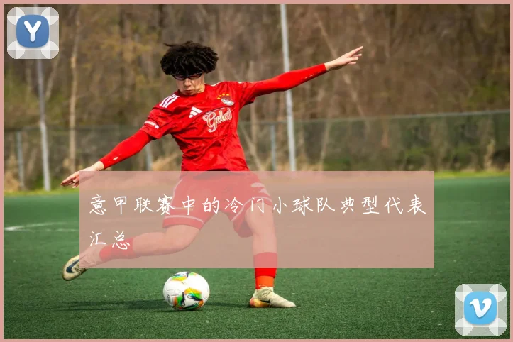 意甲联赛中的冷门小球队典型代表汇总