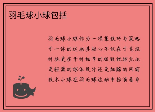 羽毛球小球包括